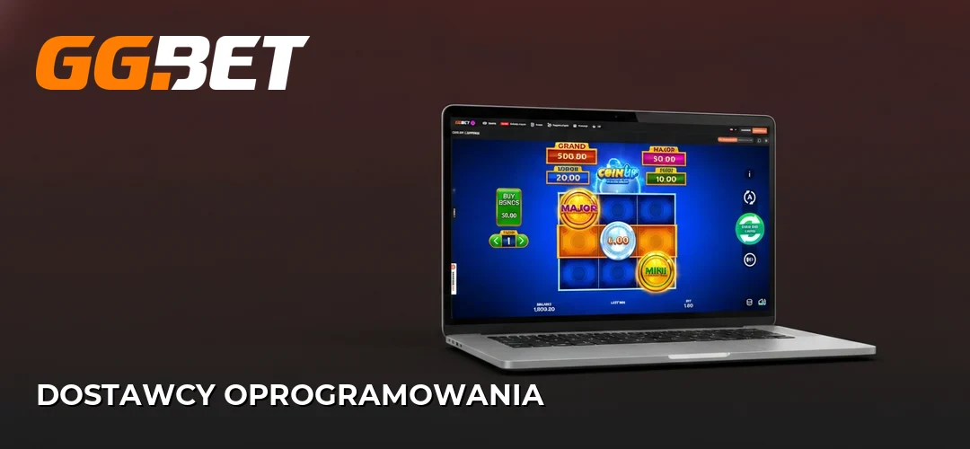 Dostawcy oprogramowania